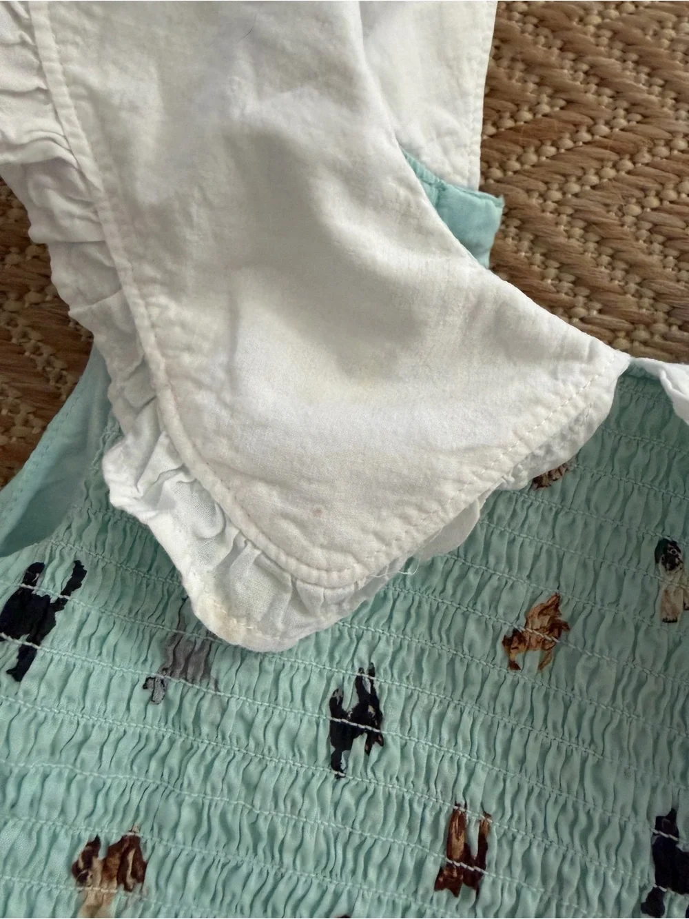 Girls Janie and jack dog dress size 8